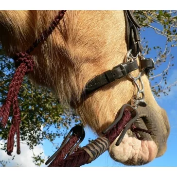 Barefoot Hackamore fekete állszíj, gumis bőr