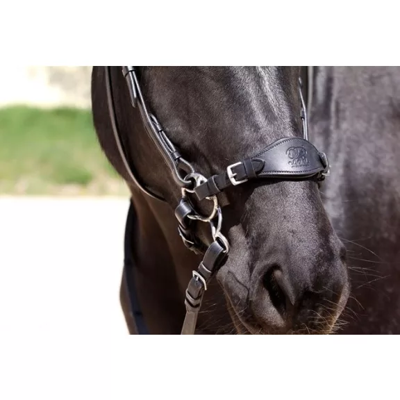 Barefoot Hackamore fekete orrszíj, párnázott bőr