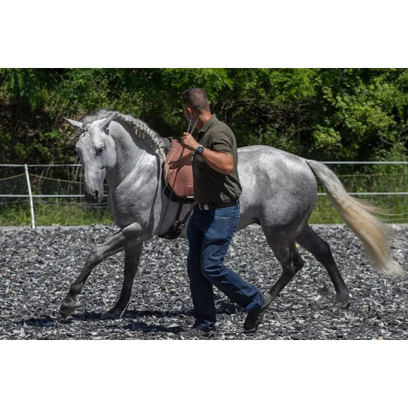 Free Horse Style 90cm kontakt pálca csapóval 