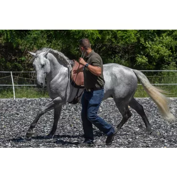 Free Horse Style 120cm kontakt pálca csapóval 