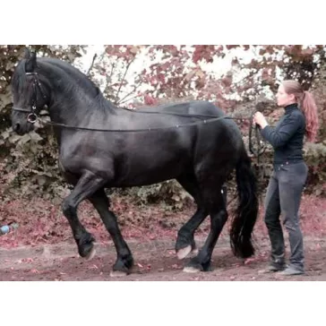 Barefoot 8m-es hosszú szár, földről végzett munkához