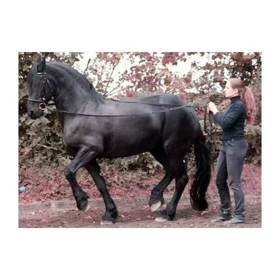 Barefoot 6m-es hosszú szár, földről végzett munkához