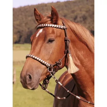 Barefoot Seneca zárt bőrdíszes kantárszár