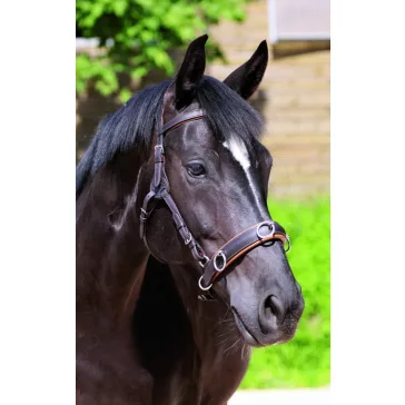 Barefoot Kapicán (Cavesson)