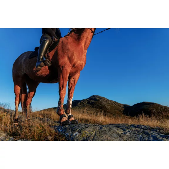 ÚJ EF Trailblazer patacipő 13 normál