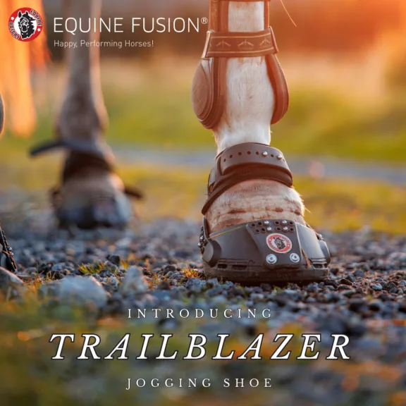 ÚJ EF Trailblazer patacipő 13 normál