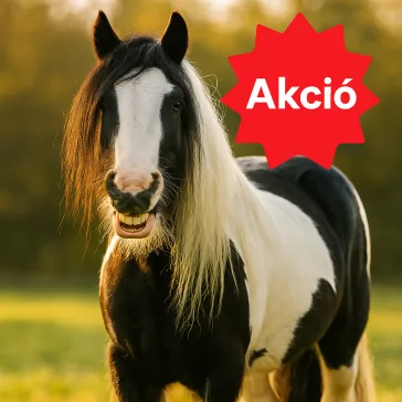 AKCIÓ
