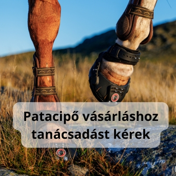 Patacipő tanácsadás vásárláshoz