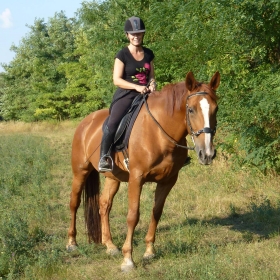 A Barefoot tanácsadója